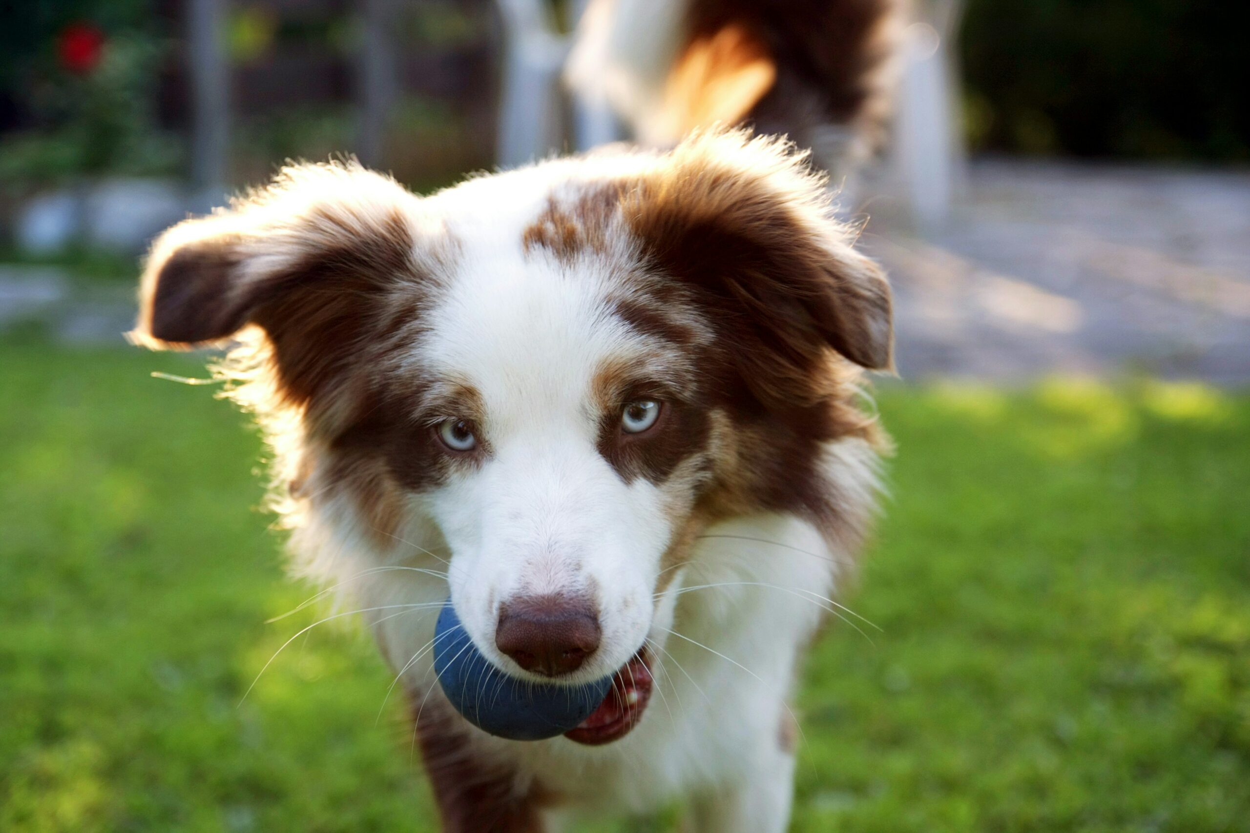 heiko-may-8qRV0YZNT2c-unsplash