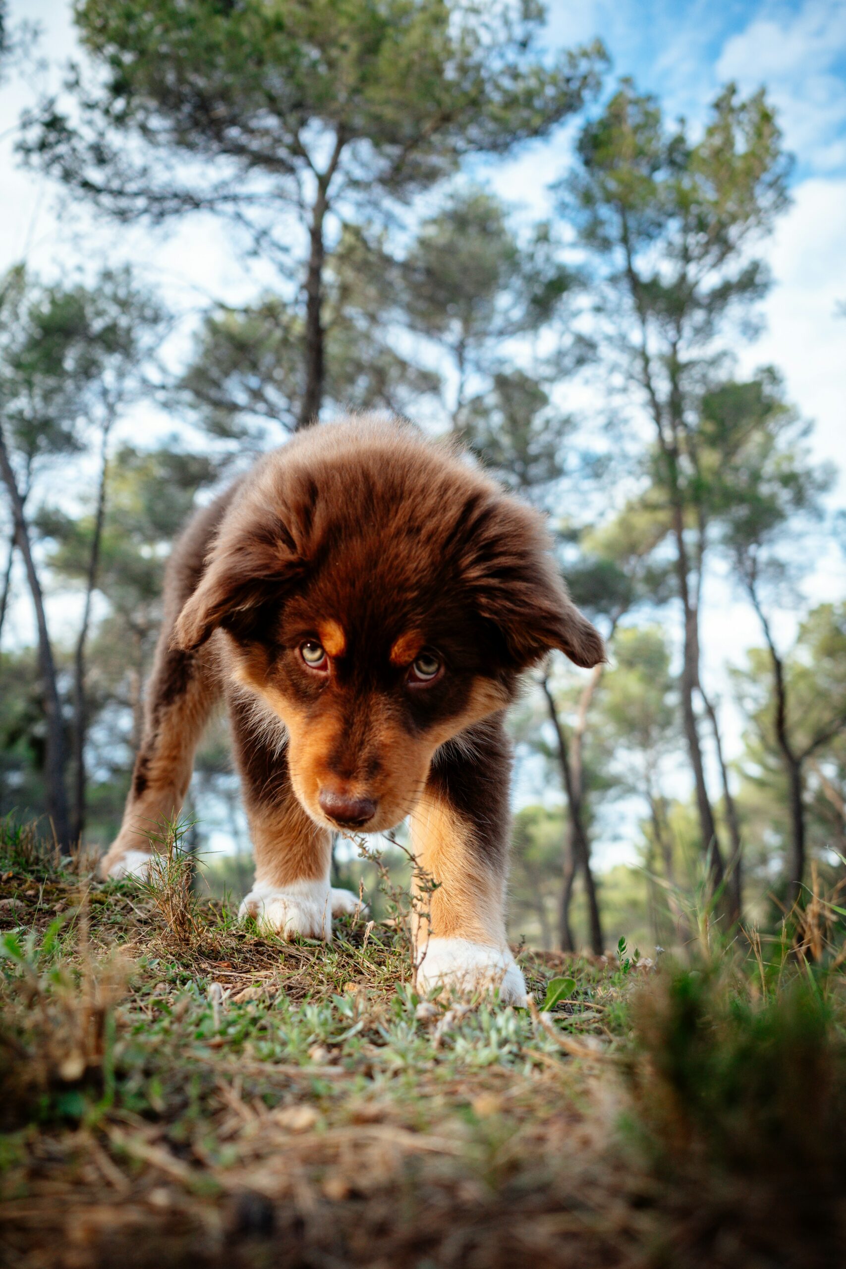 mathias-dargnat-_ujzoiGMolU-unsplash