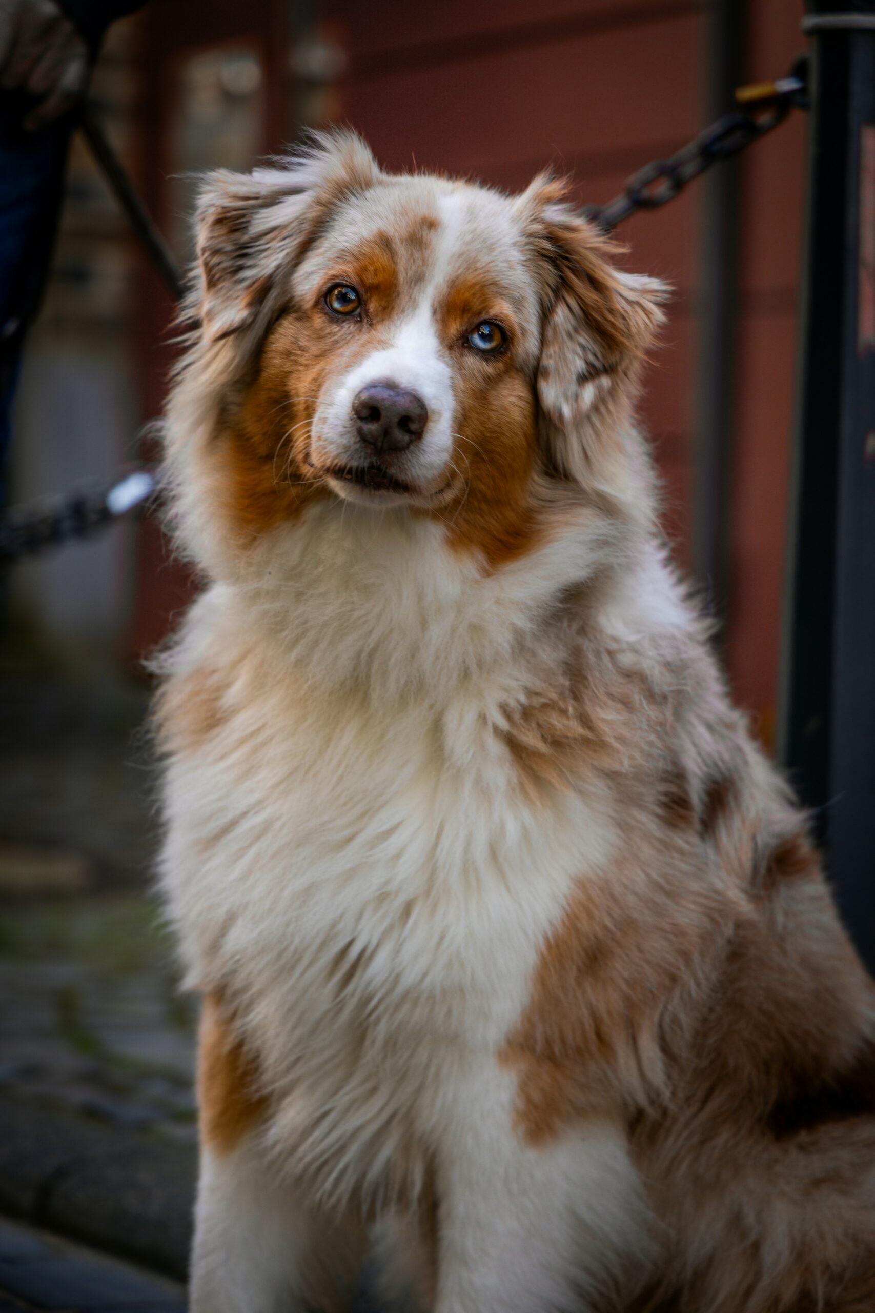 praneeth-peiris-LecPlcC32ew-unsplash