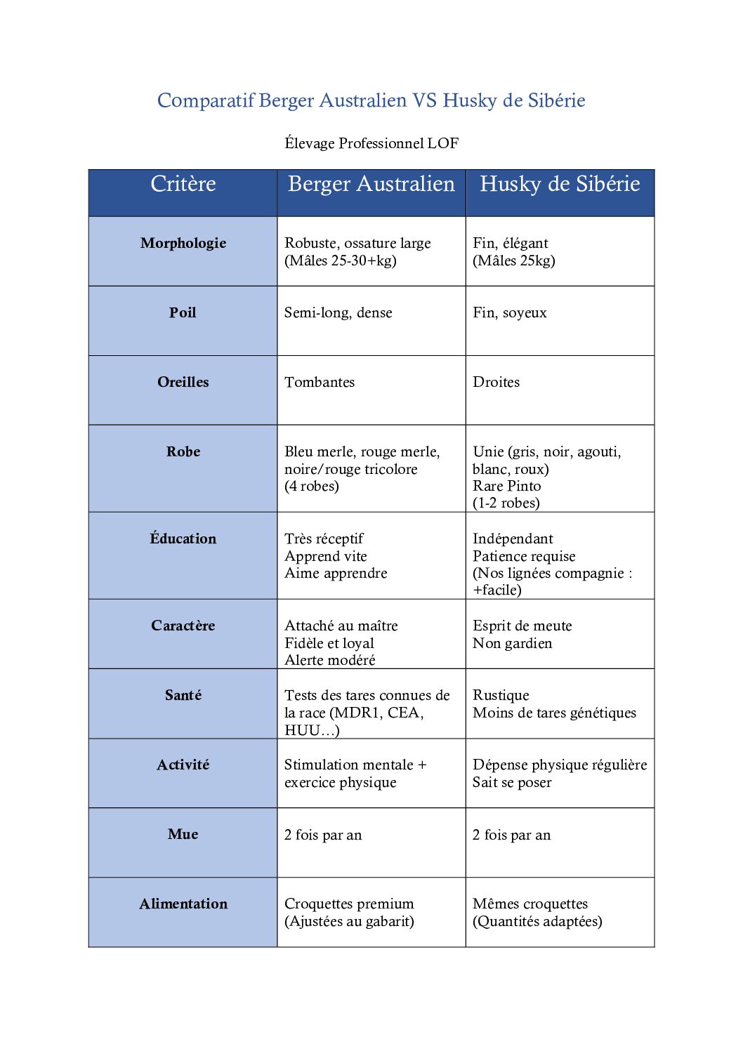 Comparatif Berger Australien VS Husky de Sibérie